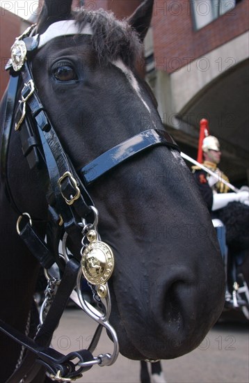 Great-Britain Blues And Royals