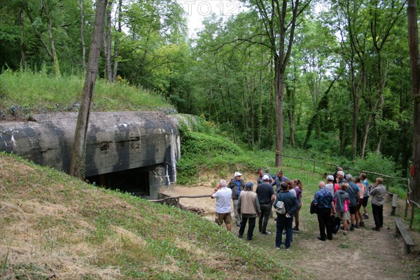 Le Ravin du Loup à Margival (Aisne)