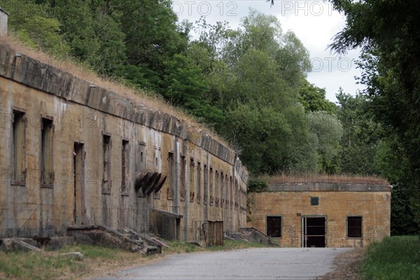 Le Ravin du Loup à Margival (Aisne)