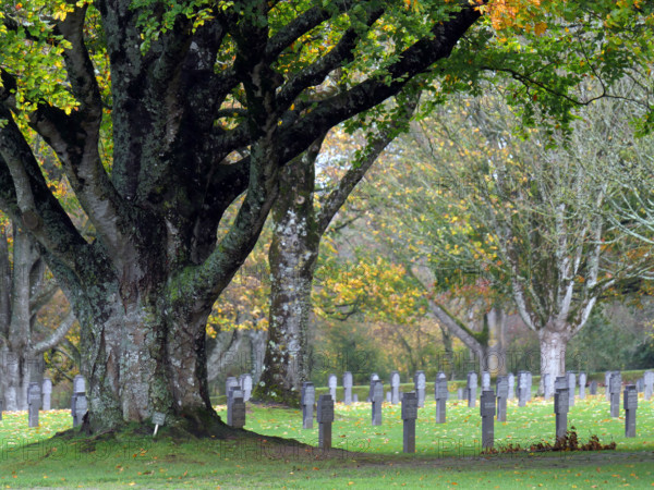 FRANCE RÉGIONS-NORMANDIE