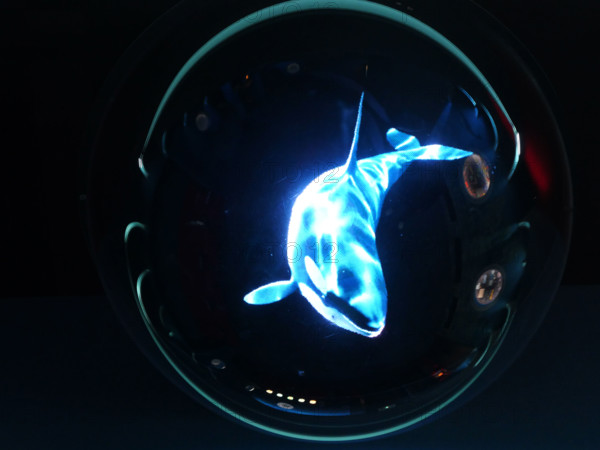 FRANCE RÉGIONS-NORMANDIE