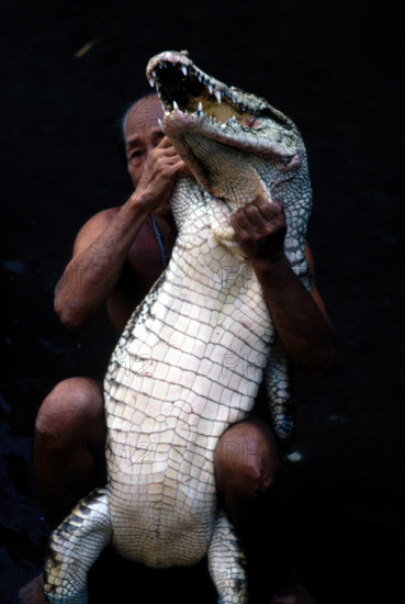 ZOO ANIMAUX ALBINOS // ALBINO ANIMALS ZOO
