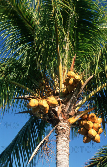 ILE MAURICE - TOURISME