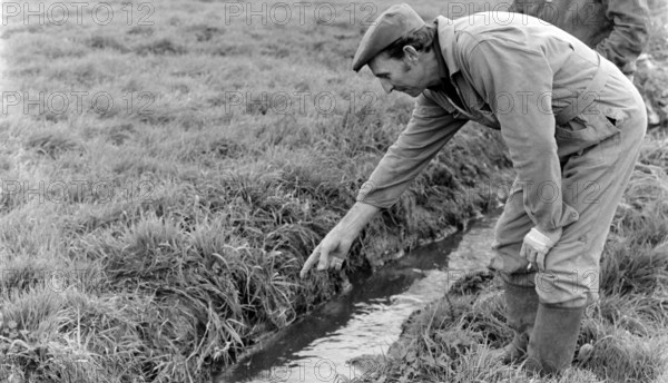 FRANCE-SOCIETE-ECOLOGIE