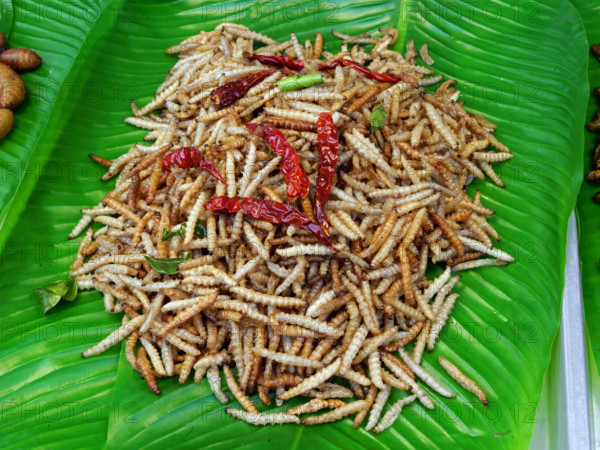 THAILANDE-SOCIETE-RESTAURATION