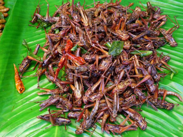 THAILANDE-SOCIETE-RESTAURATION