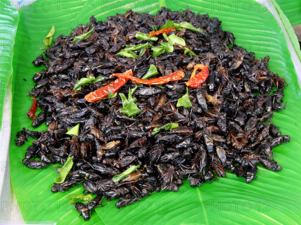 THAILANDE-SOCIETE-RESTAURATION