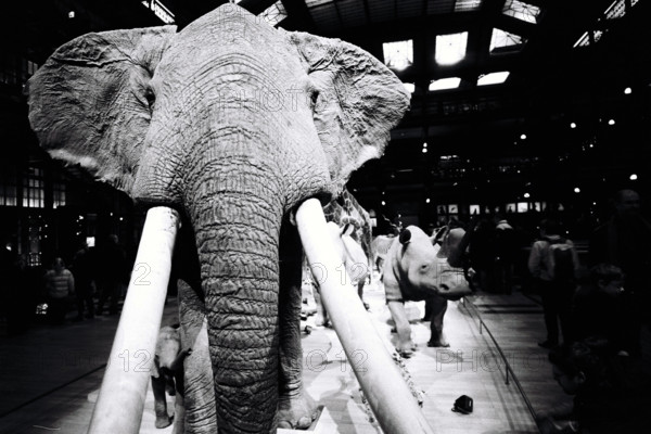 FRANCE HISTOIRE MUSEES