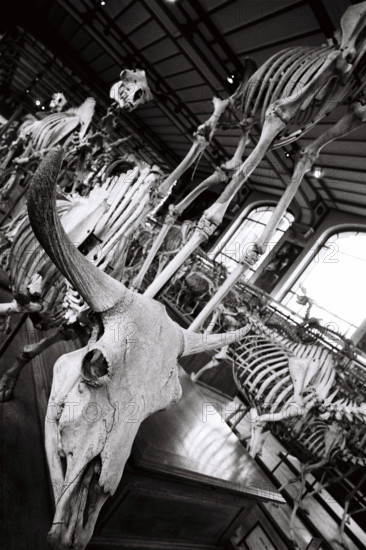 FRANCE HISTOIRE MUSEES