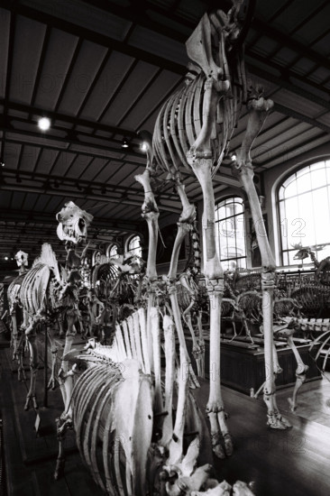 FRANCE HISTOIRE MUSEES