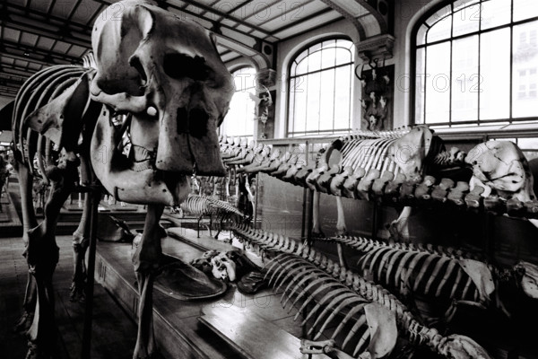 FRANCE HISTOIRE MUSEES