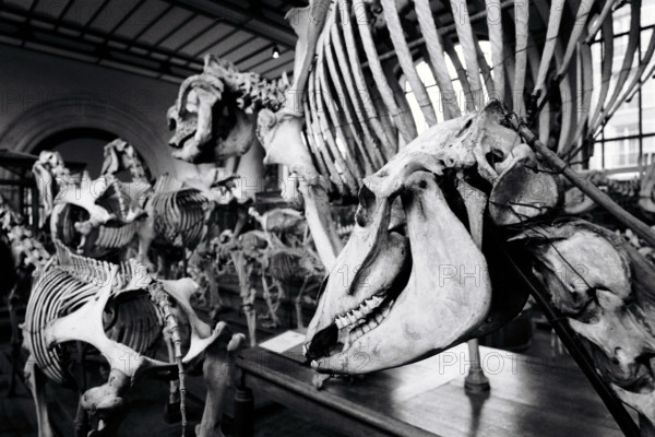 FRANCE HISTOIRE MUSEES