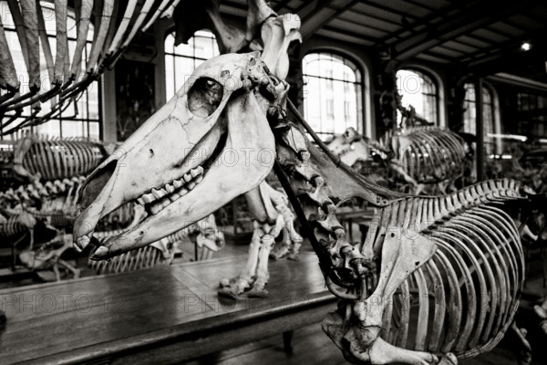 FRANCE HISTOIRE MUSEES