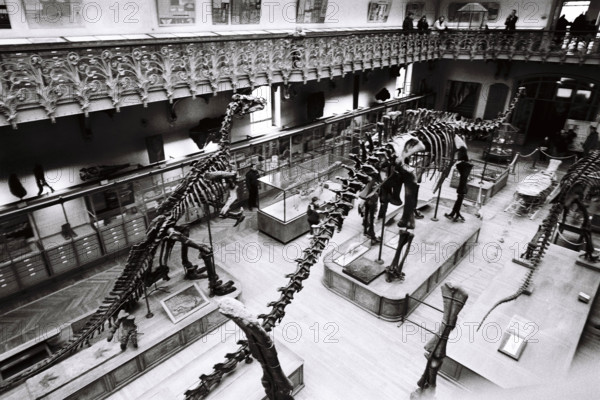 FRANCE HISTOIRE MUSEES