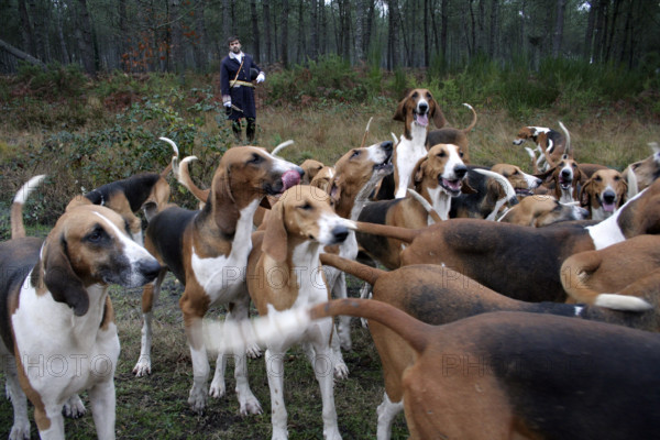 FRANCE REGIONS-VAL DE LOIRE