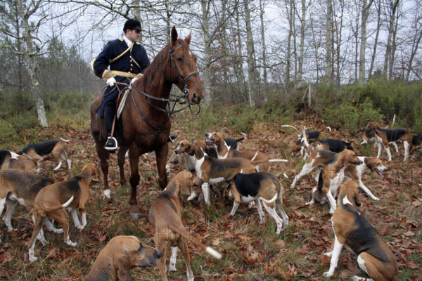 FRANCE REGIONS-VAL DE LOIRE