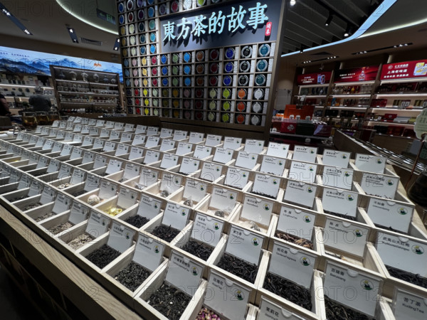 TRANSPORT INTERNATIONAL-CHINA SOUTHERN AIRLINES