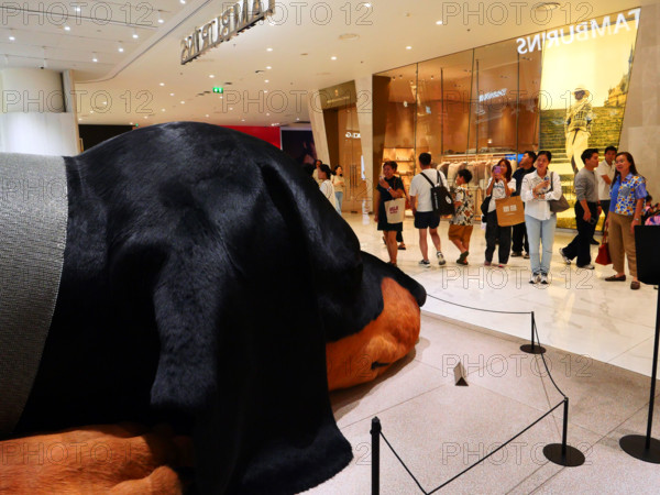 THAILANDE-COMMERCE-ICON SIAM