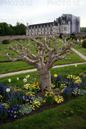 Château de Chenonceau