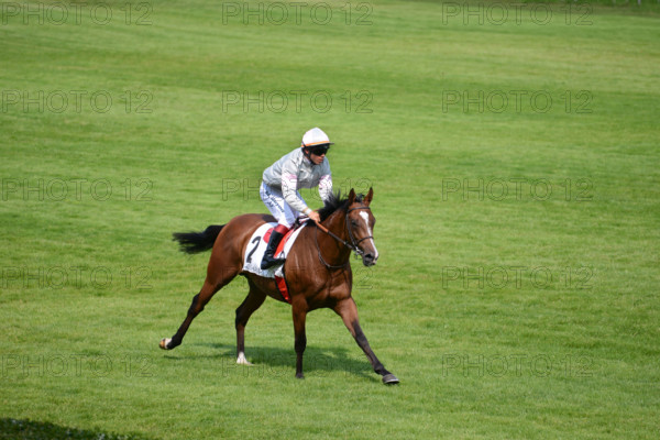 Paris, champ de courses d'Auteuil