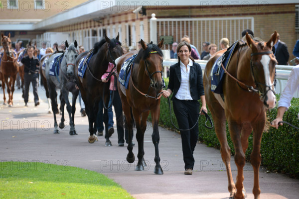 Paris, champ de courses d'Auteuil