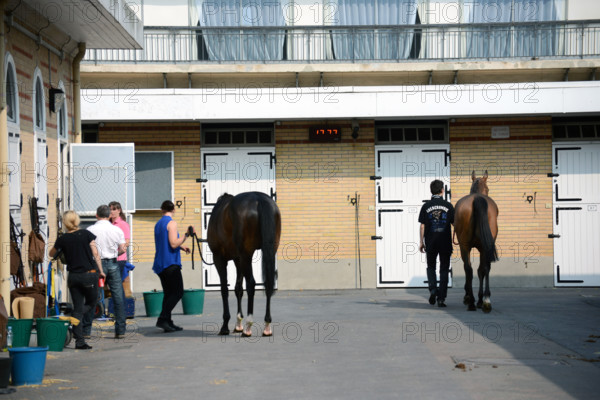 Paris, champ de courses d'Auteuil