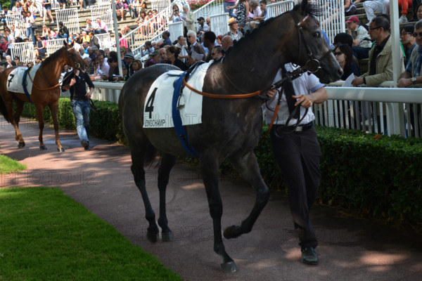 Paris, champ de courses d'Auteuil