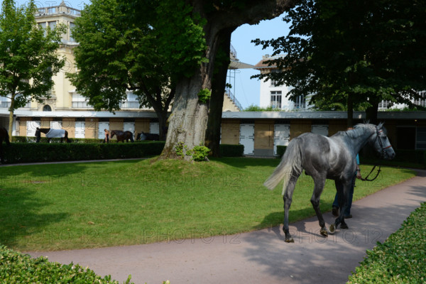 Paris, champ de courses d'Auteuil