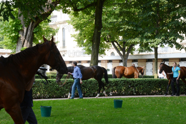 Paris, champ de courses d'Auteuil