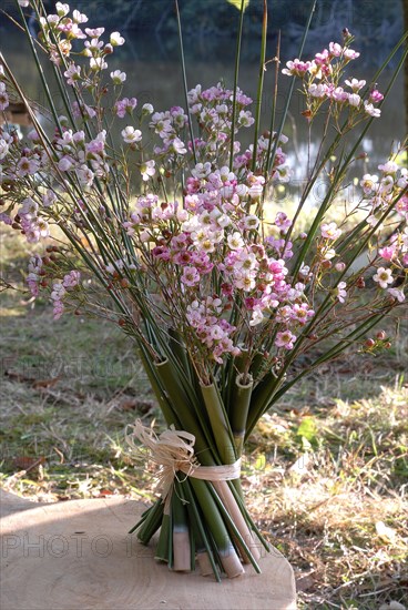 The Robinson Crusoe buffet : bunch of flowers in small bamboo vases