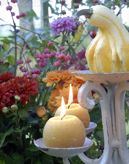Meal on a forest theme: gourd, candles and flowers