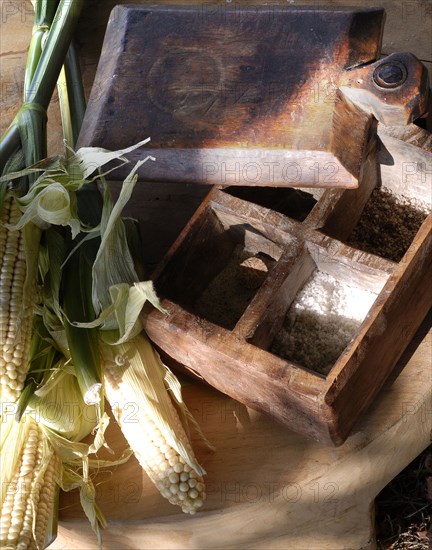 Typical French buffet: ears of corn and spice box