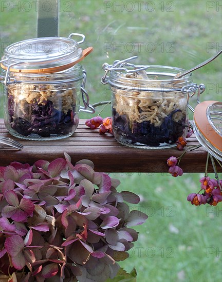 Repas forestier : compote de lapin et chou confit