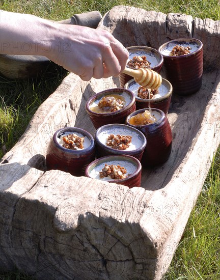 Typical French buffet: cottage cheese with honey and nut croquant