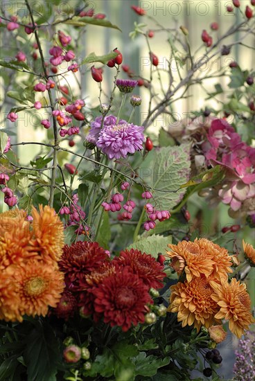 Meal on a forest theme: dahlias and automn flowers