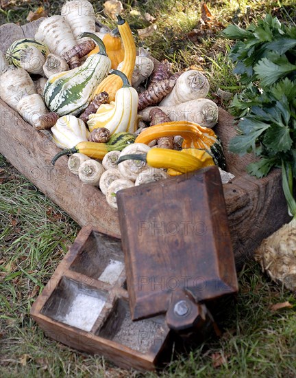 Typical French buffet: Jerusalem artichoke, bitter apple and salt and pepper box