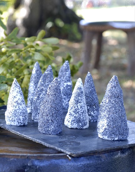 Typical French buffet: menhir-shaped goat cheeses