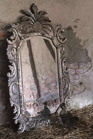 Eggs for dinner: Venetian mirror and small hen
