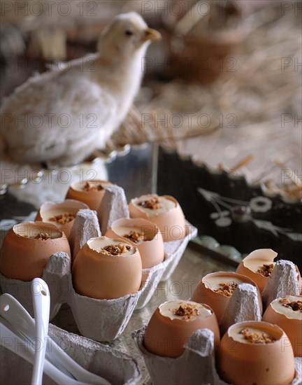 Eggs for dinner: mousse of Spanish nougat