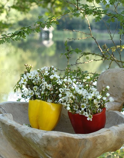 The Robinson Crusoe buffet: bunch of flowers in small pepper vases