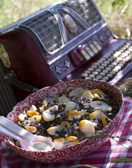 Pique-nique "Tour de France" : salade de lentilles au haddock, sauce moutarde à l'ancienne