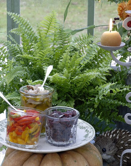 Meal on a forest theme: marinated peppers, boletus in oil and onion grape chutney