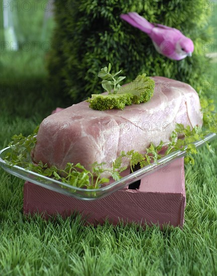 Meal in pink and green theme: light broccoli ham terrine