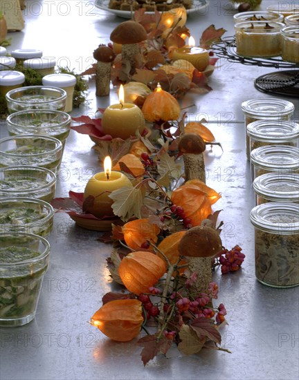 Meal on a forest theme: table with autumnal decoration