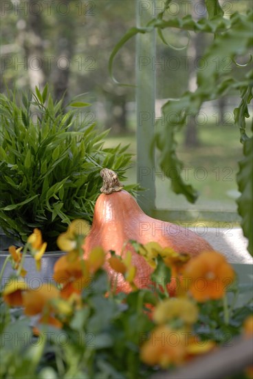 Repas forestier : fleurs et potiron