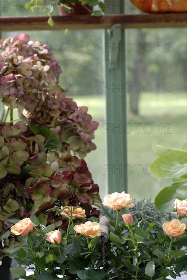 Meal on a forest theme: flowers and hydrangeas