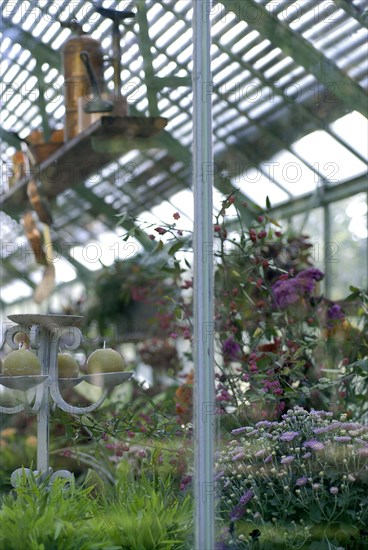 Meal on a forest theme: greenhouse