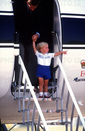 Prince Charles et prince William