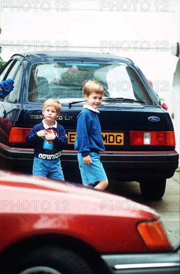 Prince Harry et prince William