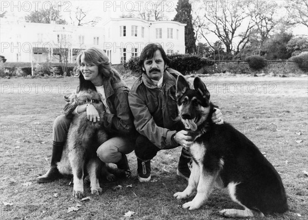 Après deux années dans l’étendue sauvage de pop, Ringo Starr a apporté sa musique et sa femme américaine chez lui à Grande-Bretagne pour de bon. La maison du 17ème siècle de l'ex Beatle à Ascot a beaucoup de mémoires. John Lennon et Yoko Ono habitaient ici jusqu'à ce qu’ils partirent pour l'Amérique. Et quand ils sont partis, Ringo et sa première femme ont déménagé pendant un certain temps. Maintenant il est ici avec l’actrice Barbara Bach et ses deux enfants d’un mariage précédent. Vie à la compagne.... Ringo. Barbara et ses deux chiens-loup. Novembre 1981 P017264